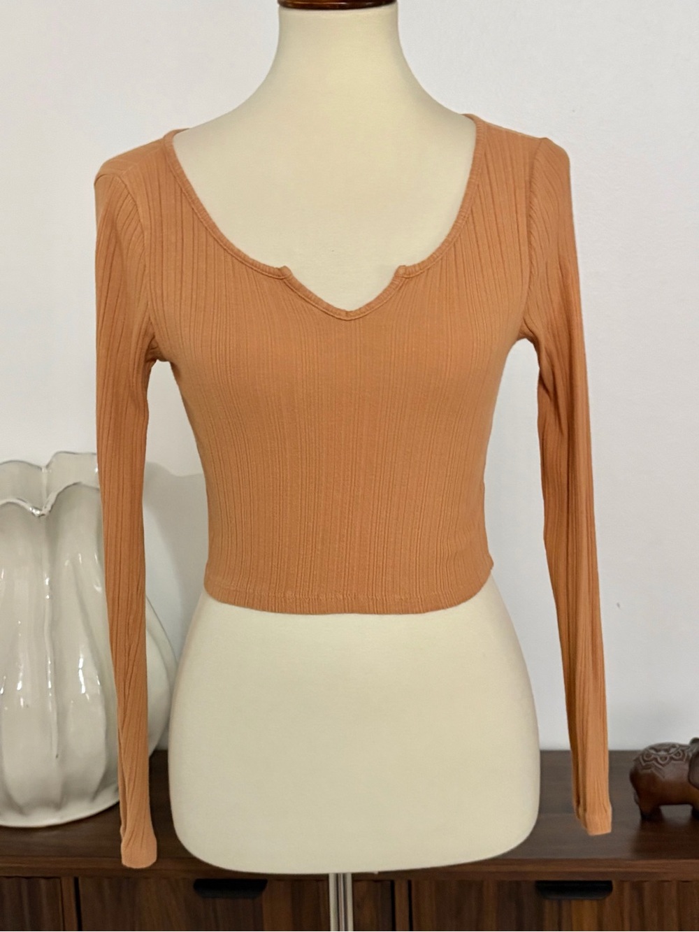 Ribbed V-Notch Long Sleeve Crop Top